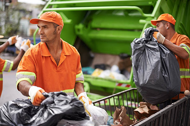 Best Local Junk Hauling  in Edgewood, MD